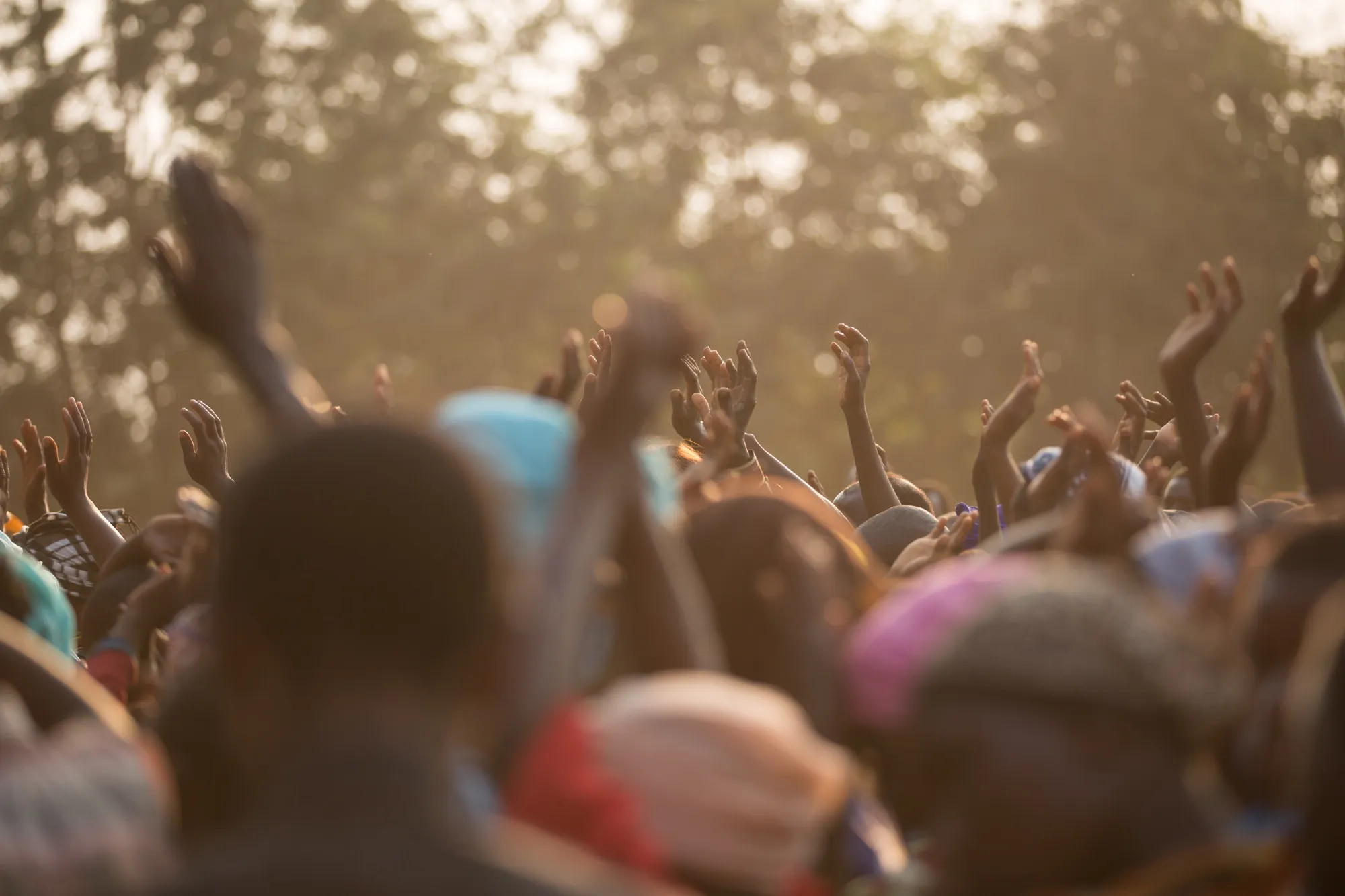 A crowd of people dance with hands stretched upwards